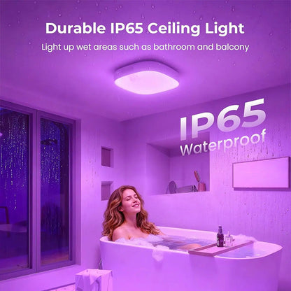 TYIIPLUS™ IP65防水RGB人体感应吸顶灯
